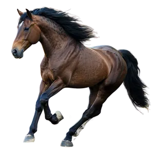 Wind Swept Mane Running Horse Png Afa PNG Image