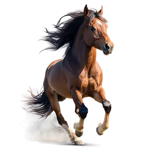 Wind Swept Mane Running Horse Png Gqo43 PNG Image