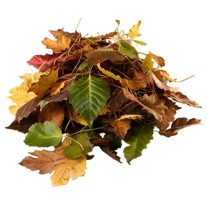 Windblown Leaves Heap Png Xju PNG Image