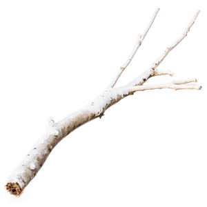 Windblown Twig Png 25 PNG Image