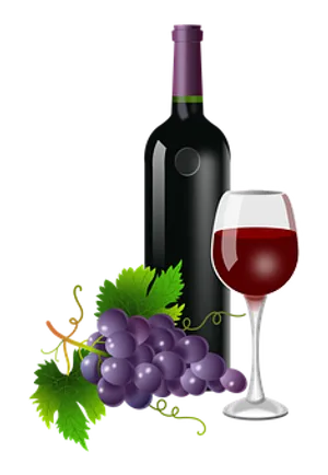 Wine Bottle Glass Grapes Vector PNG Image