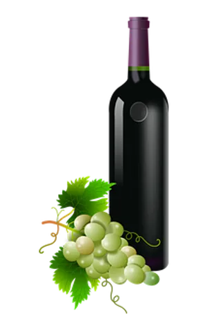 Wine Bottleand Grapes Vector PNG Image