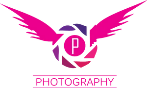 Winged Camera Photography Logo PNG Image