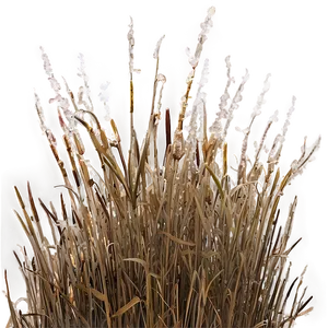 Winter Dead Grass Png Rle98 PNG Image