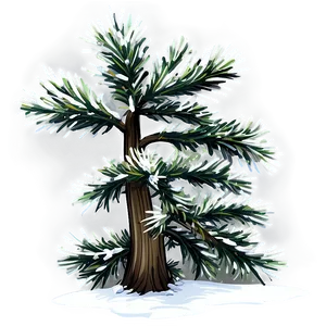 Winter Evergreen Tree Png Bor PNG Image