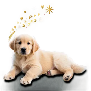 Winter Golden Retriever Puppy Png 74 PNG Image