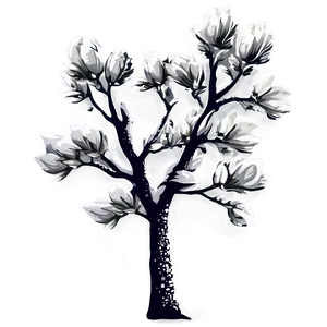 Winter Magnolia Tree Silhouette Png Rym PNG Image