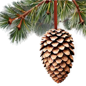 Winter Pine Cone Png Txr99 PNG Image