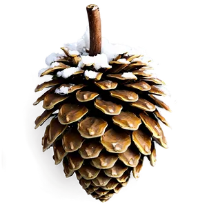 Winter Pine Cone Png Ygu12 PNG Image