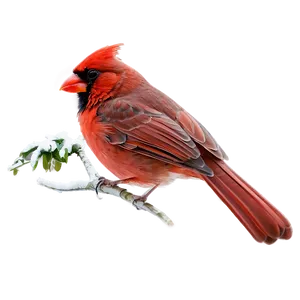 Winter Red Cardinal Png 61 PNG Image