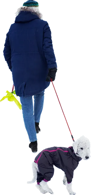 Winter_ Stroll_ With_ Pet_ Dog.jpg PNG Image