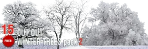 Winter Trees Pack2 Promotional Banner PNG Image