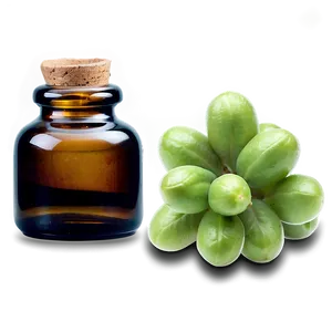 Wintergreen Essential Oil Png Gbw PNG Image