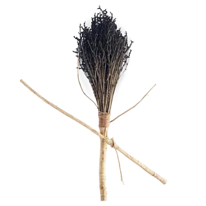 Witches Broom A PNG Image