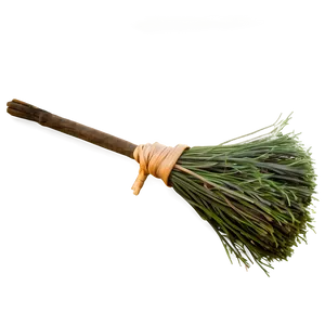 Witches Broom Png 06292024 PNG Image