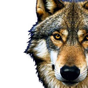 Wolf Face B PNG Image