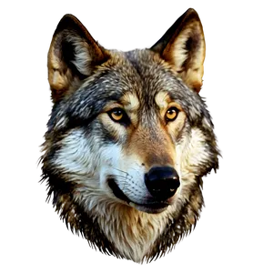 Wolf Head B PNG Image