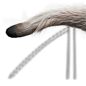 Wolf Tail Png Cdu PNG Image