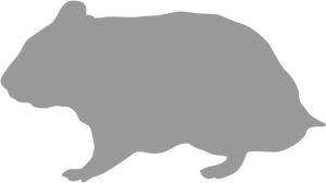 Wombat Silhouette Graphic PNG Image