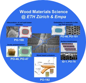 Wood Materials Science Research Poster PNG Image