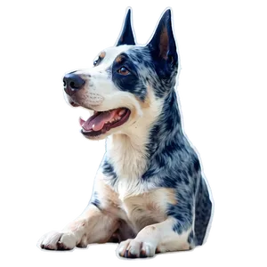 Working Blue Heeler Png Qaf1 PNG Image