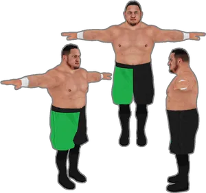 Wrestler_ Multiple_ Poses PNG Image