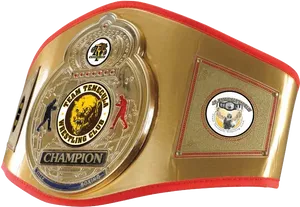 Wrestling Champion Belt PNG Image