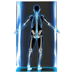 X Ray Body Scan Png 50 PNG Image