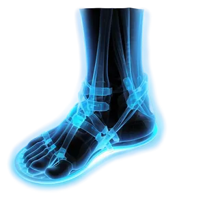 X Ray Of Footwear Png Ybx PNG Image