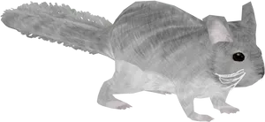 Xray Chinchilla Profile PNG Image