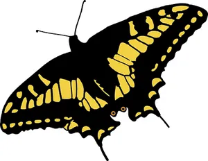 Yellow Black Butterfly Illustration PNG Image