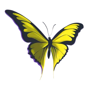 Yellow Butterfly Outline Png Trg44 PNG Image