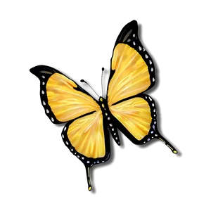 Yellow Butterfly Pattern Png 47 PNG Image