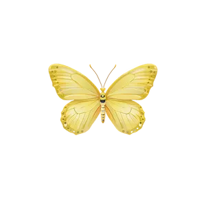 Yellow Butterfly Vector Png Hek70 PNG Image