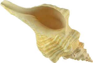 Yellow Conch Shell Isolated PNG Image