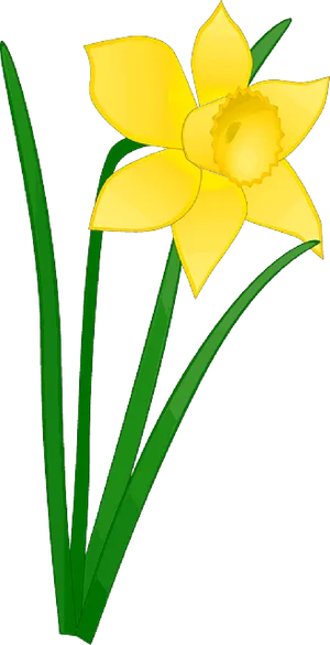 Yellow Daffodil Vector Illustration PNG Image