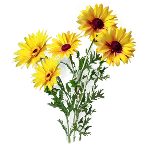 Yellow Daisy Bouquet Png Ptl70 PNG Image