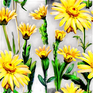 Yellow Daisy In Field Png 31 PNG Image