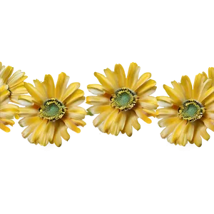 Yellow Daisy Seamless Pattern Png Jyd65 PNG Image