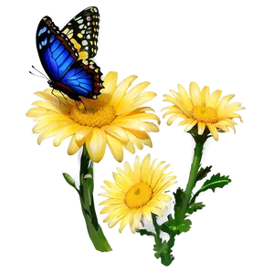 Yellow Daisy With Butterfly Png Mei PNG Image