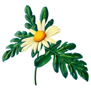 Yellow Daisy With Leaves Png Nbp PNG Image