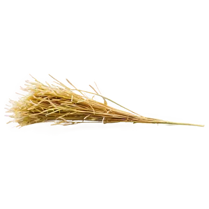 Yellow Dry Grass Png Bik75 PNG Image