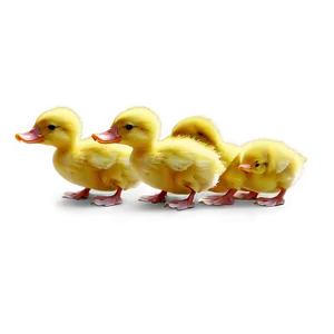 Yellow Duckling Cartoon Png Qgd PNG Image