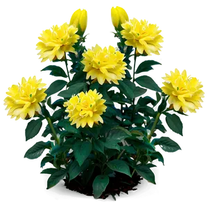 Yellow Flower Bush Png 32 PNG Image