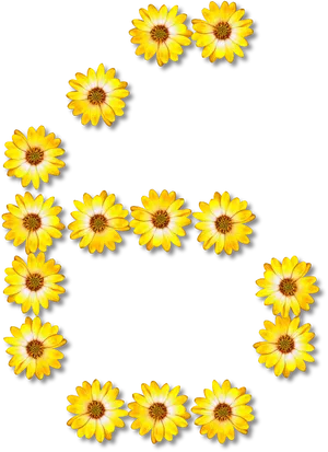 Yellow Flower Letter B Design PNG Image