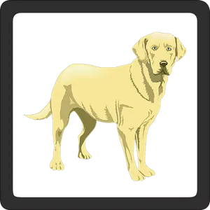 Yellow Labrador Retriever Illustration PNG Image