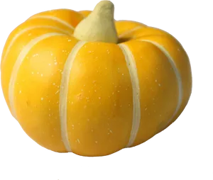 Yellow Squash Vegetable.png PNG Image