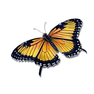 Yellow Tiger Butterfly Png Ybe PNG Image