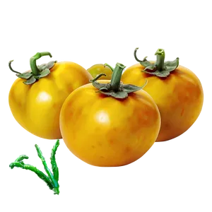 Yellow Tomato Png 06212024 PNG Image