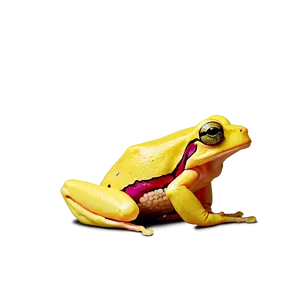 Yellow Tree Frog Png Rnl62 PNG Image